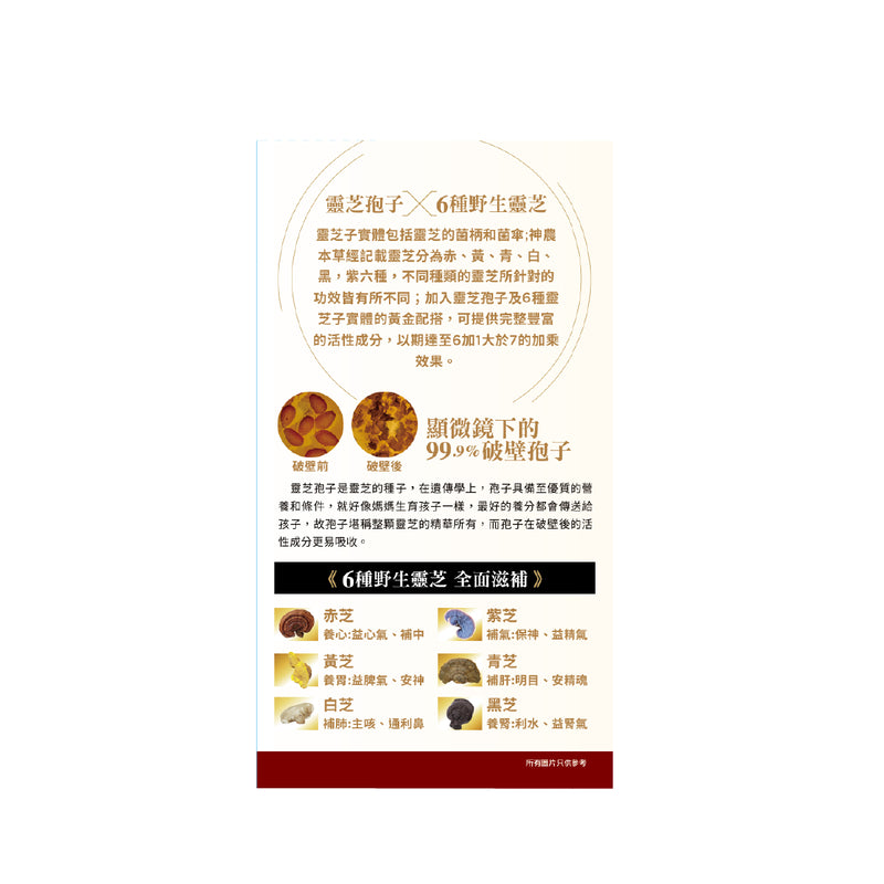 NOTO MASTER LINGZHI 60pcs